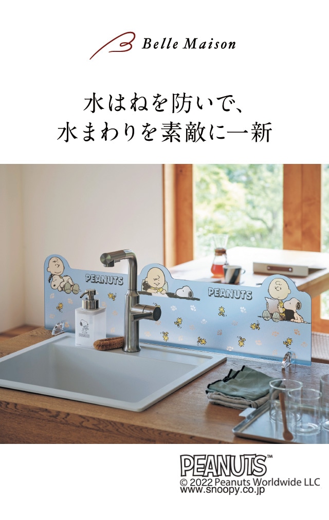 イメージ(1)