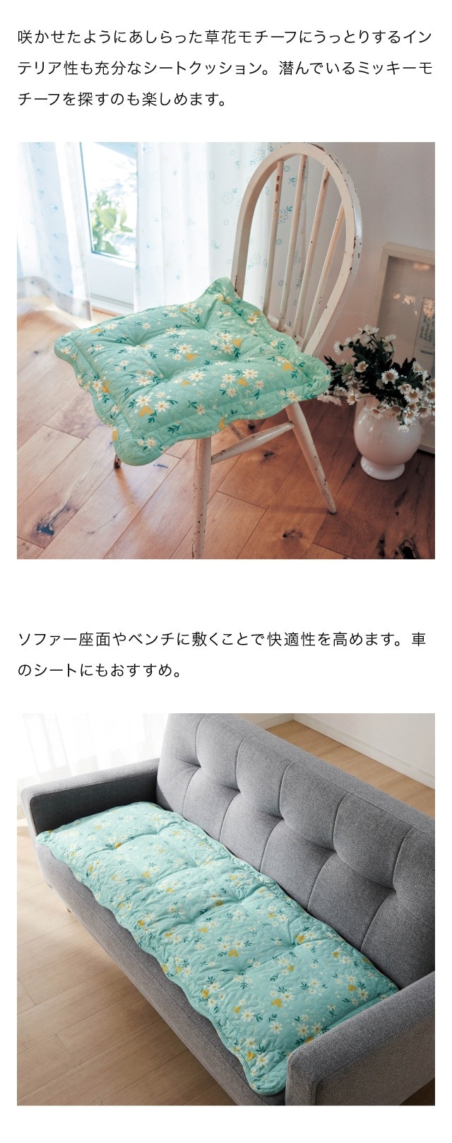 イメージ(3)