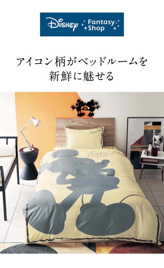 イメージ(1)