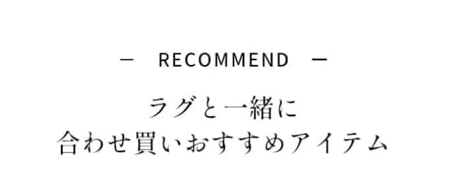 イメージ(5)