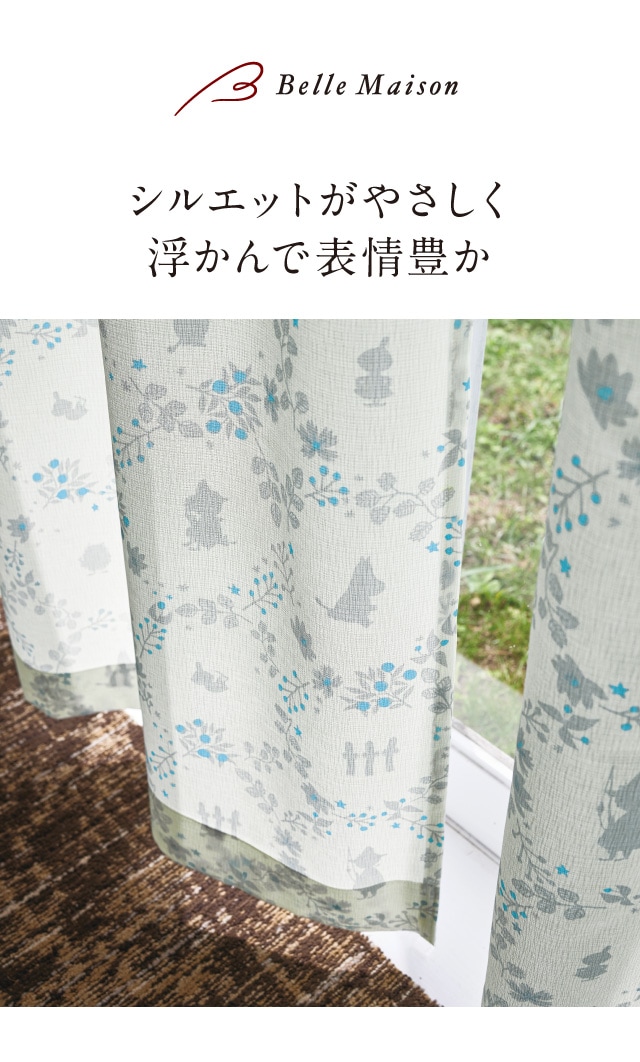 イメージ(1)