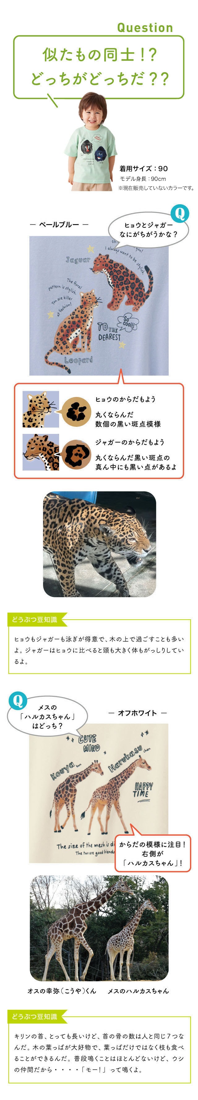 イメージ(3)