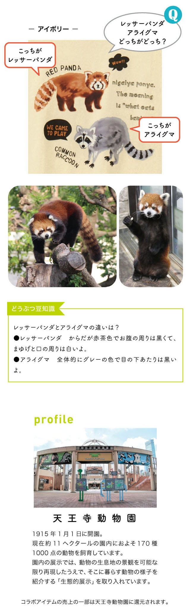 イメージ(4)