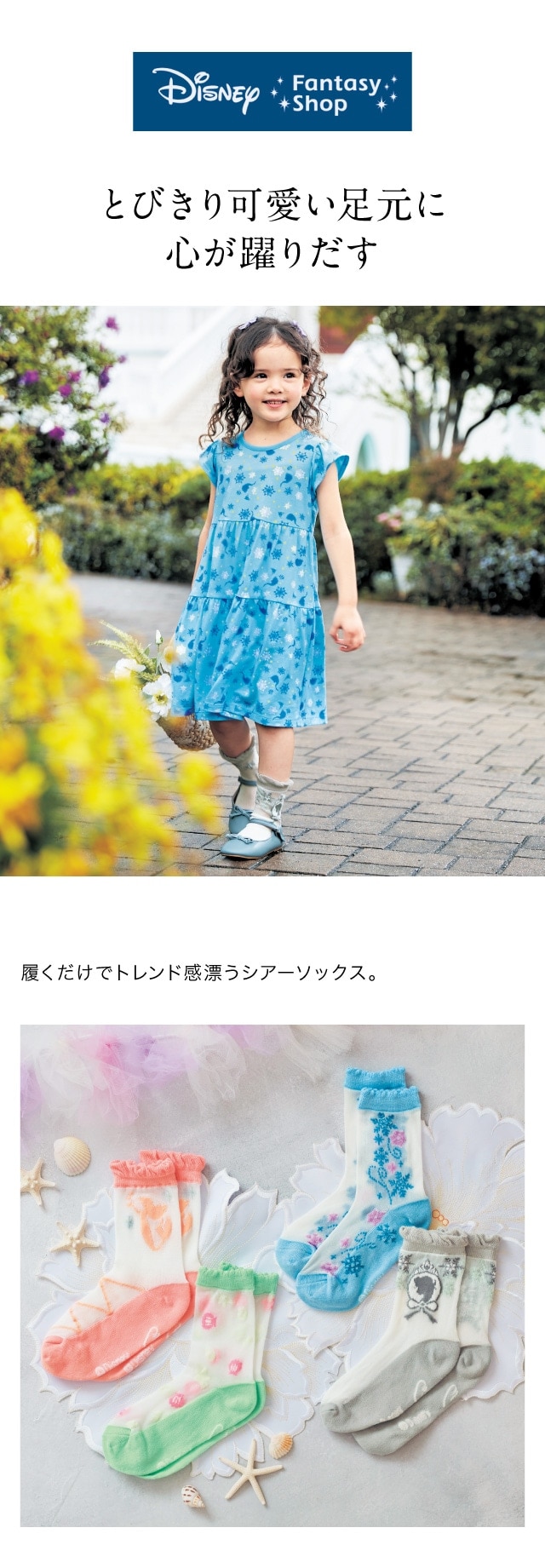 イメージ(1)