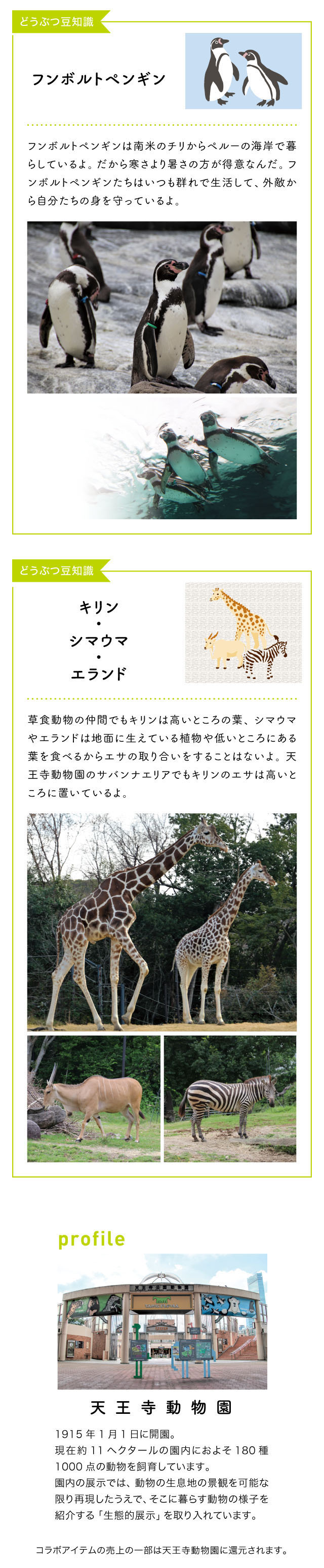 イメージ(3)