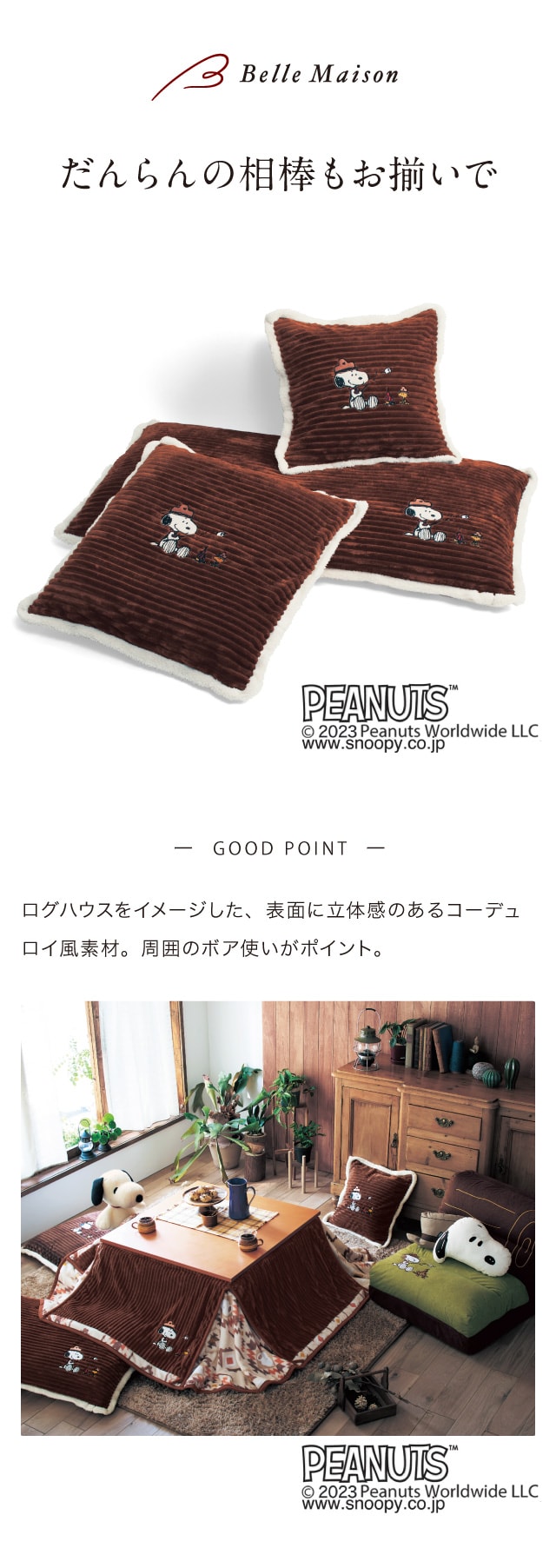イメージ(1)