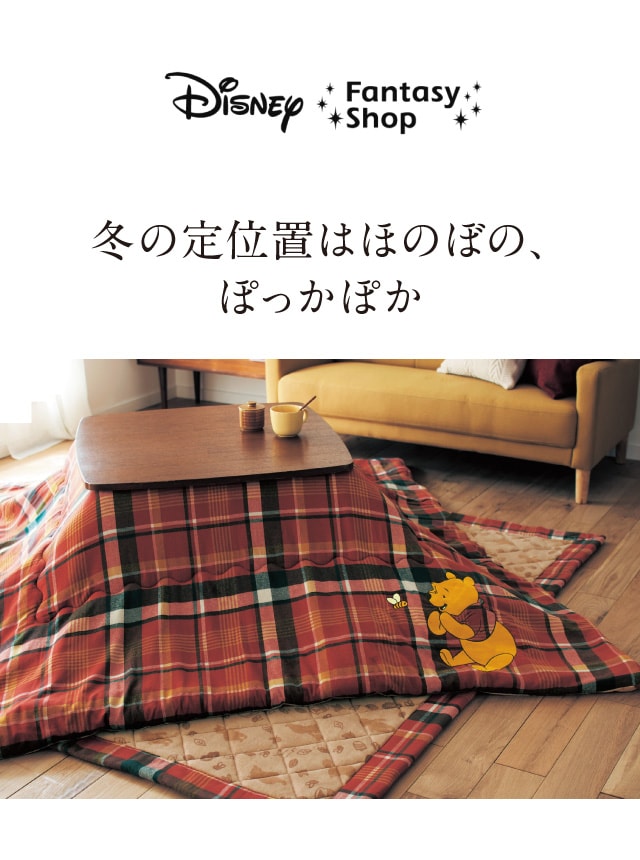 イメージ(1)