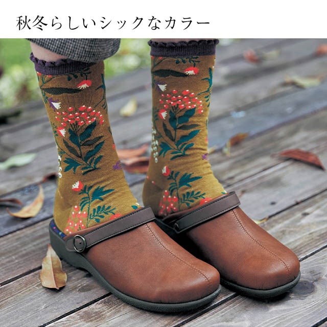 イメージ(1)
