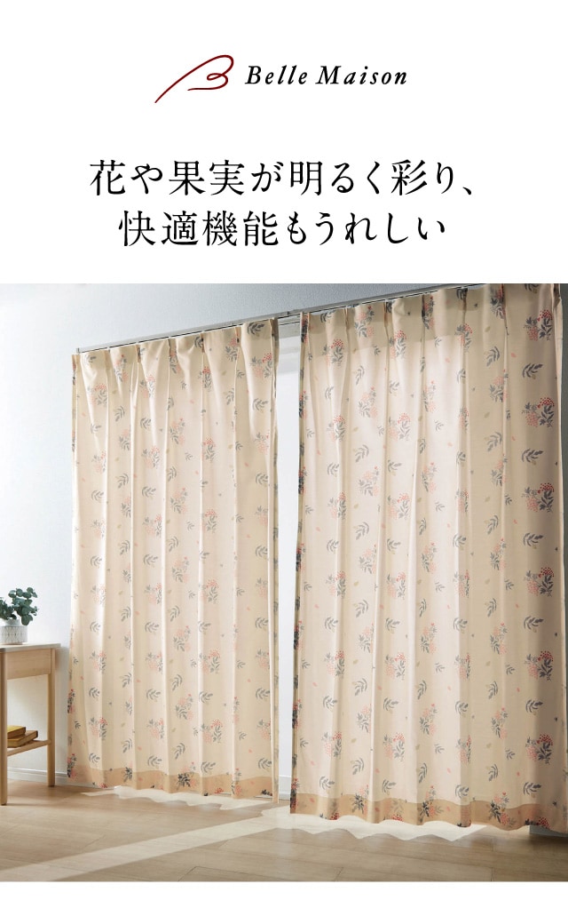 イメージ(1)