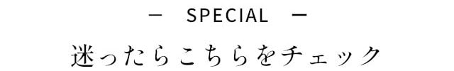 イメージ(10)