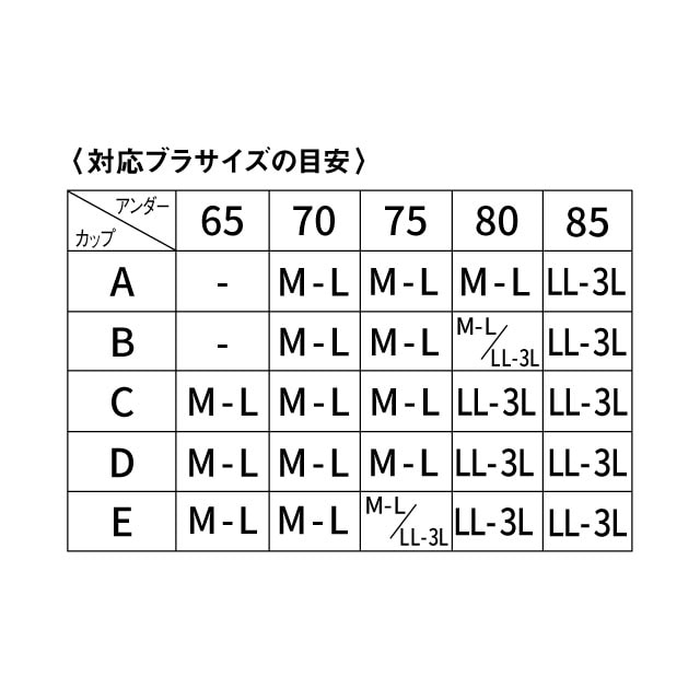 イメージ(12)