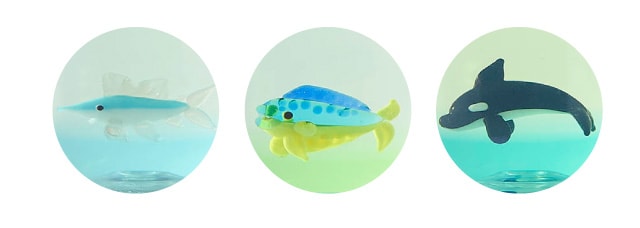 大海原を駆ける俊足の王者