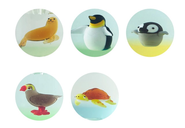 波打ち際の愛らしい人気者