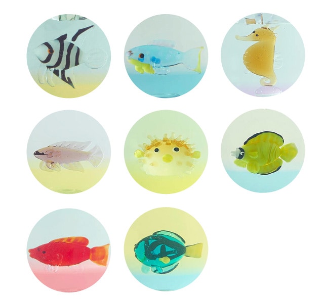 鮮やかな色彩!熱帯の宝石箱