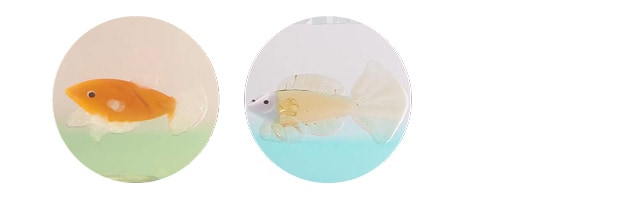 きらめく水草と憩いのひととき