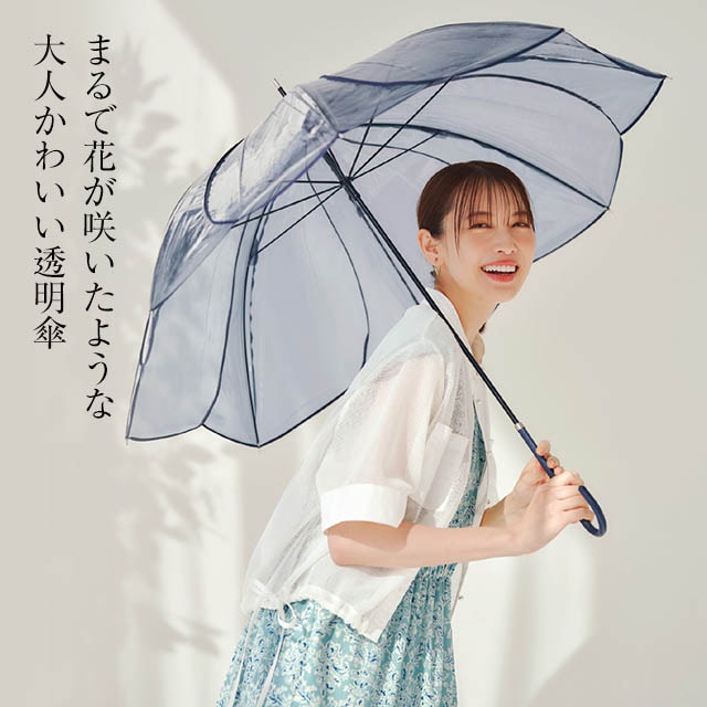 イメージ(1)