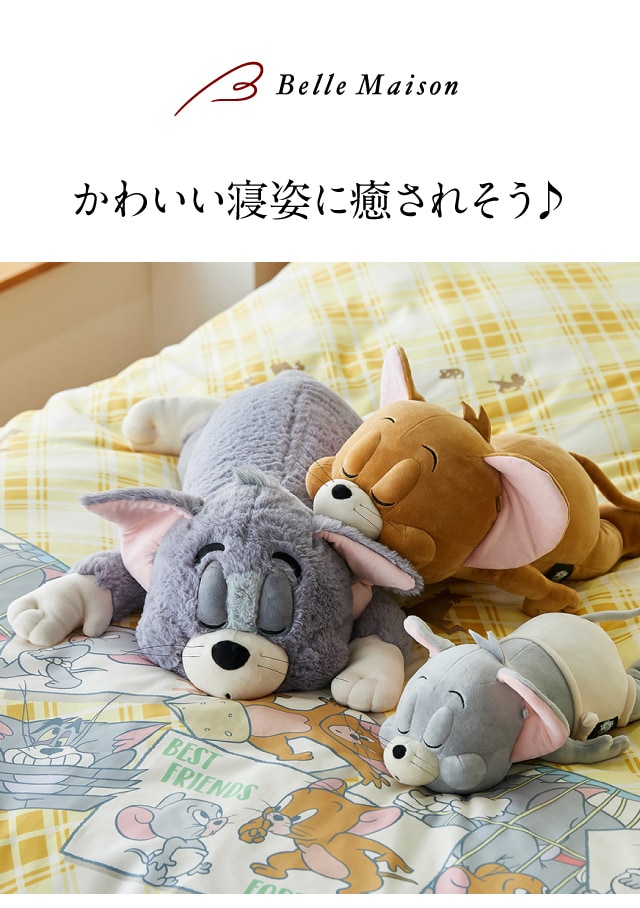 イメージ(1)