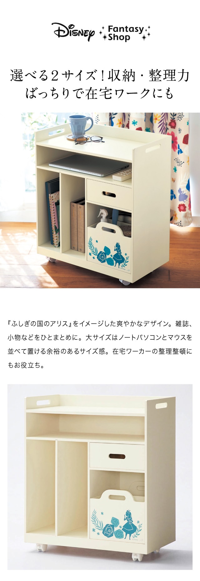 イメージ(1)