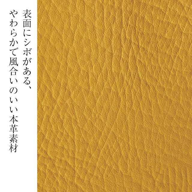 イメージ(2)
