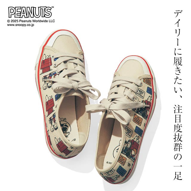 イメージ(1)