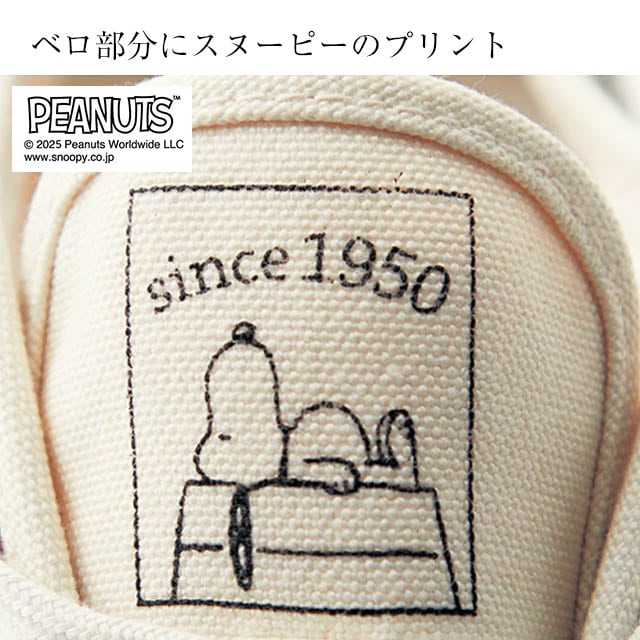 イメージ(3)