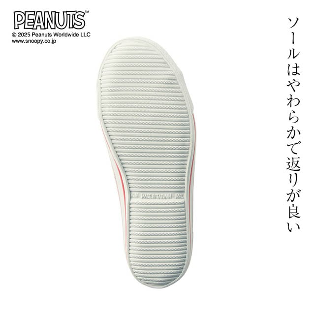 イメージ(5)