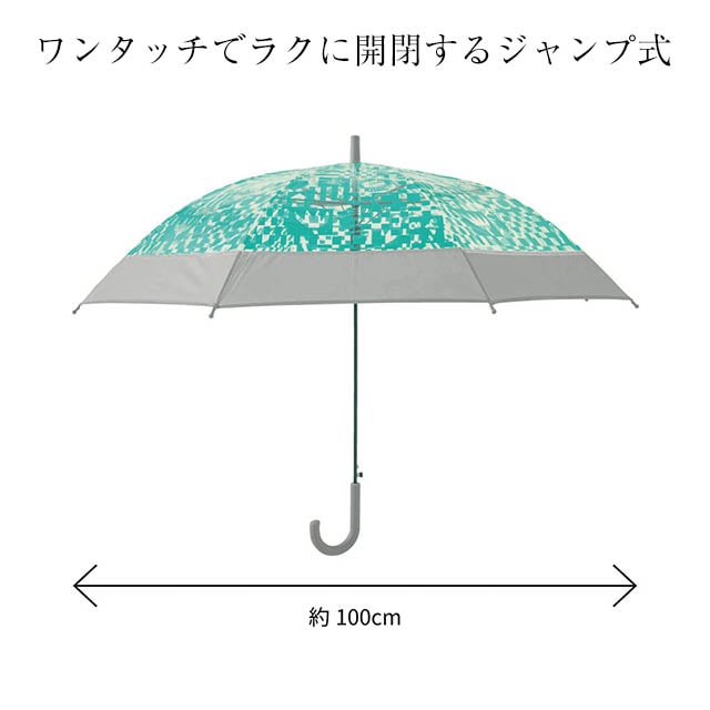 イメージ(6)