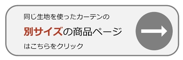 イメージ(1)