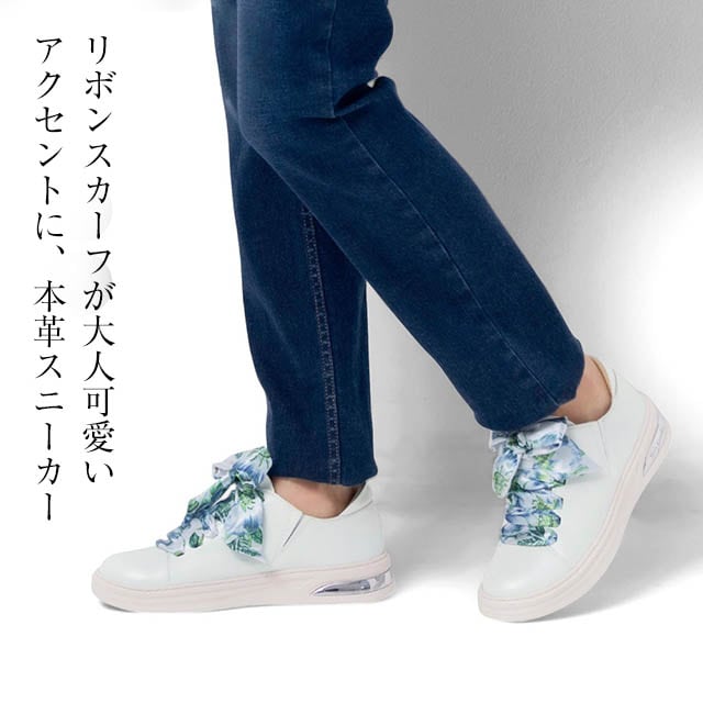イメージ(1)