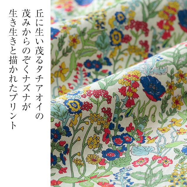 イメージ(2)