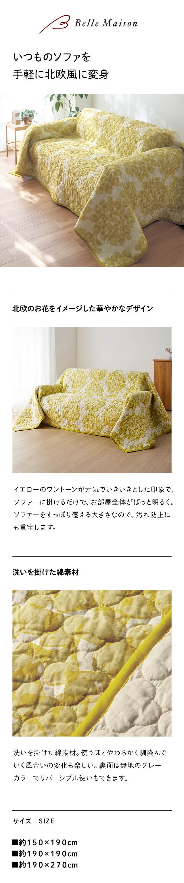 イメージ(1)