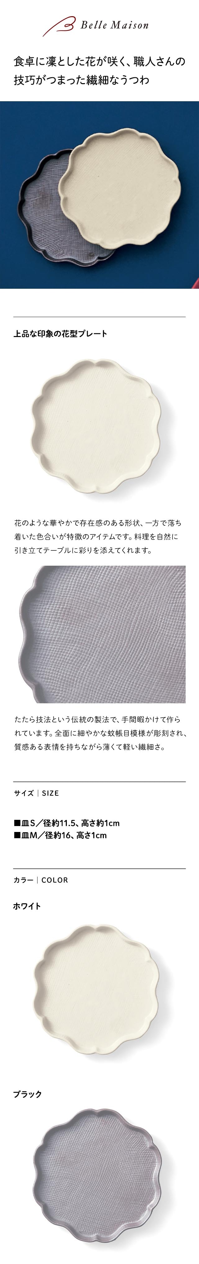 イメージ(1)