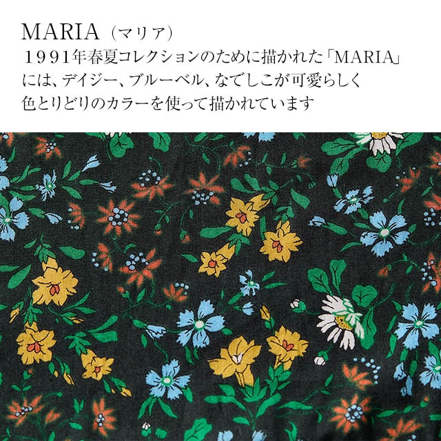 イメージ(2)