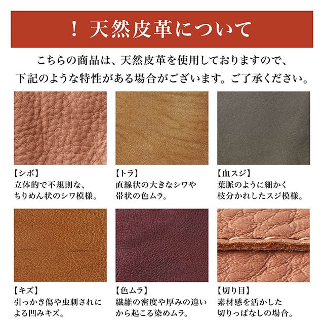 イメージ(6)