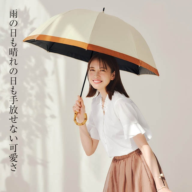 イメージ(1)