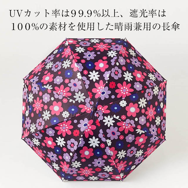 イメージ(2)