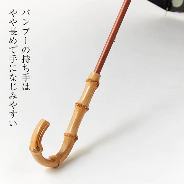 イメージ(4)