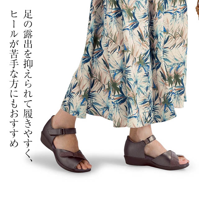 イメージ(1)