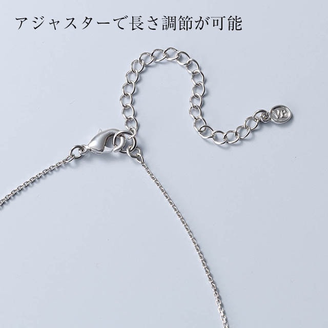 イメージ(5)