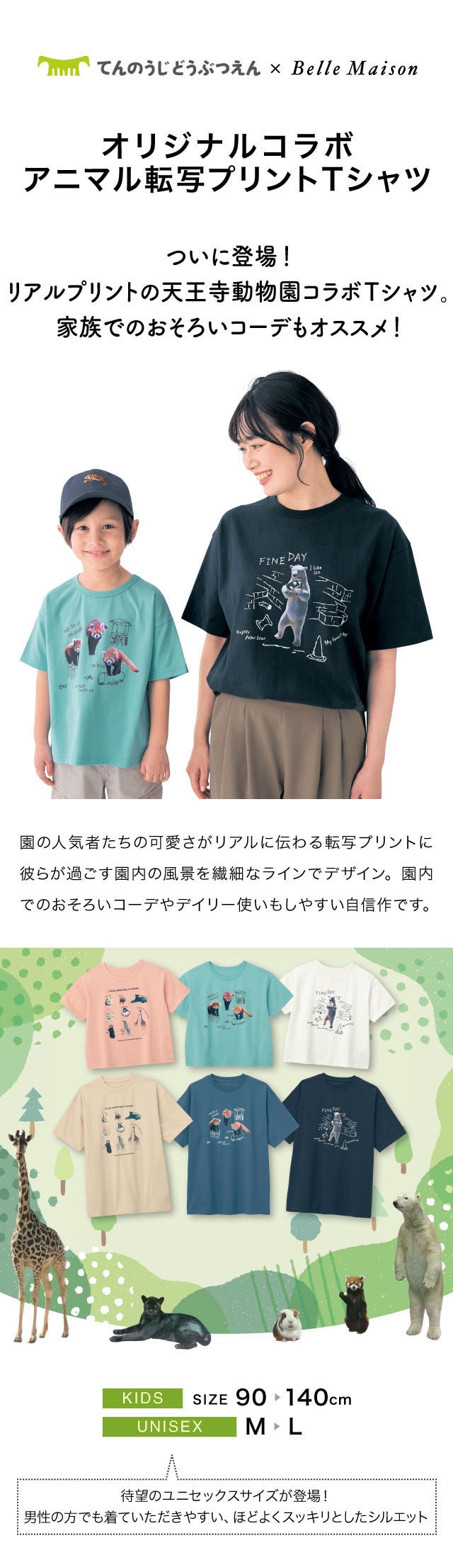 イメージ(1)