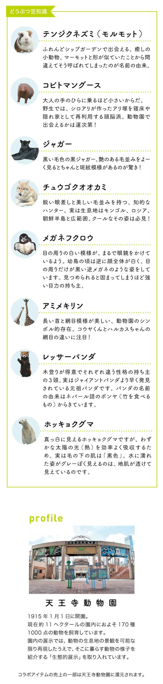 イメージ(4)