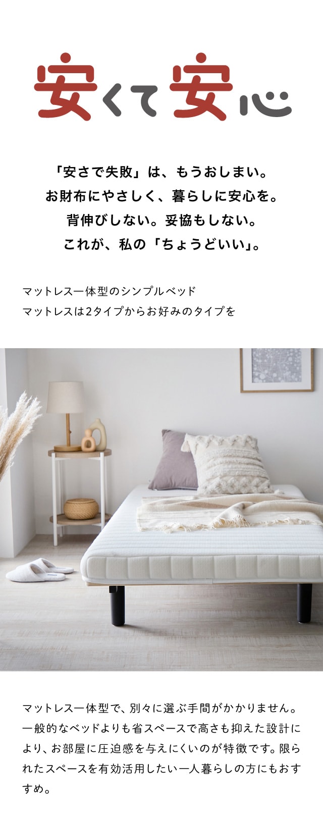 イメージ(1)