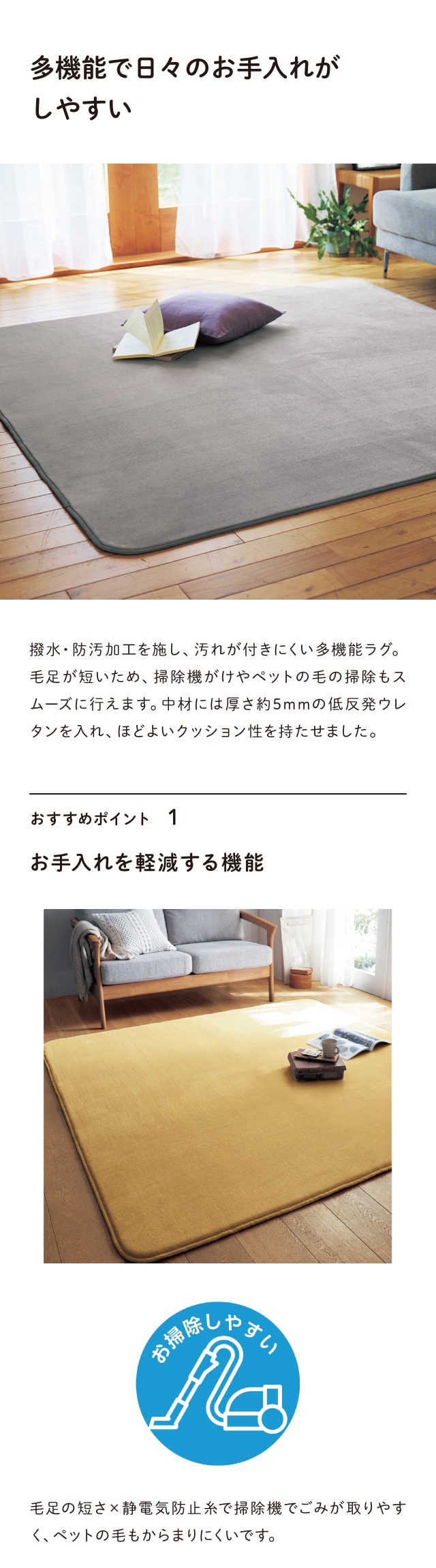 イメージ(1)