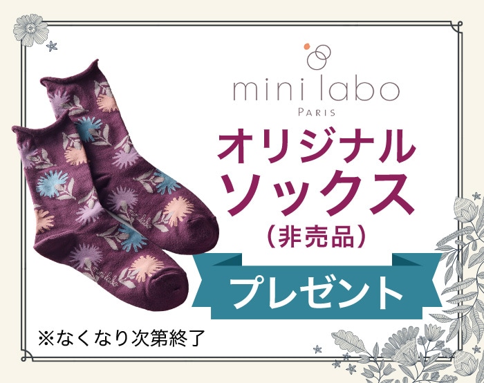 ミニラボソックスプレゼント