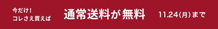 通常送料が無料