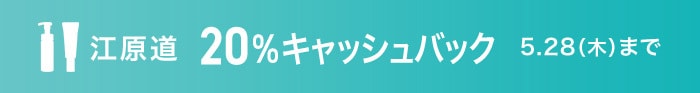 江原道20%キャッシュバック