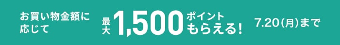 ポイントアップ