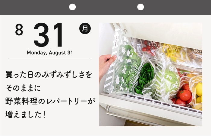 365日めくりカレンダー