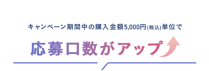 応募口数アップ
