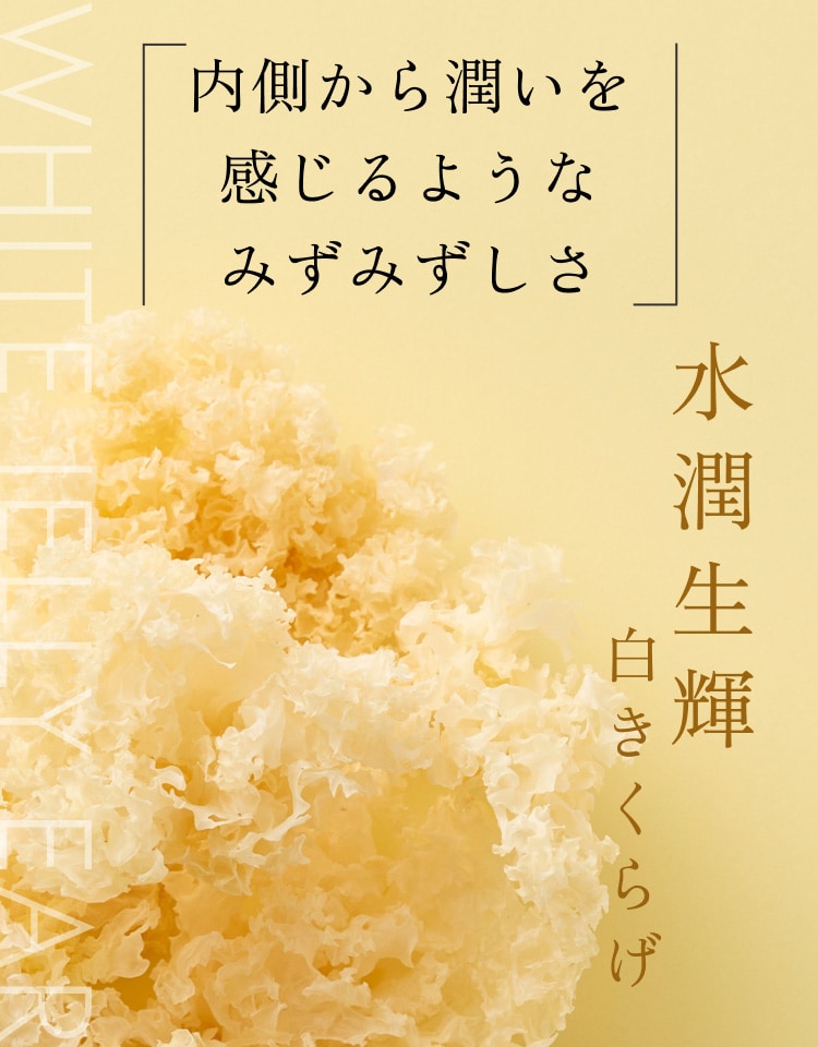 内側から潤いを感じるようなみずみずしさ 水潤生輝 白きくらげ 内側から潤いを感じるようなみずみずしさ 水潤生輝 白きくらげ